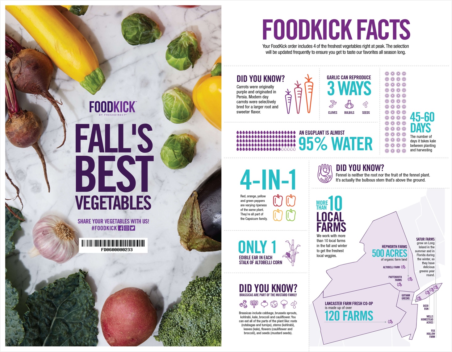 FoodKick Inserts